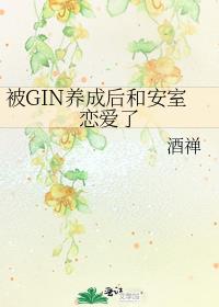 ��Gin���ɺ�Ͱ���������
