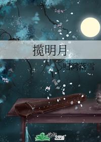揽明月
