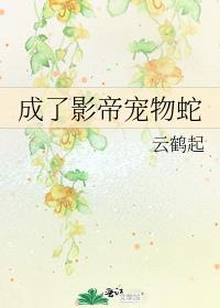 ����Ӱ�۳�����