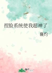 ����ϵͳʹ�ҳ�����