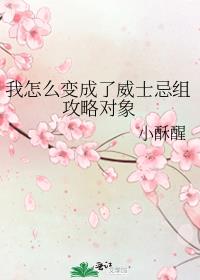 ����ô�������ʿ���鹥�Զ���