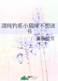 �崿��ϵСè�䲻�����