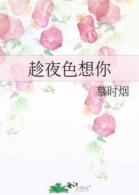 ��ҹɫ����