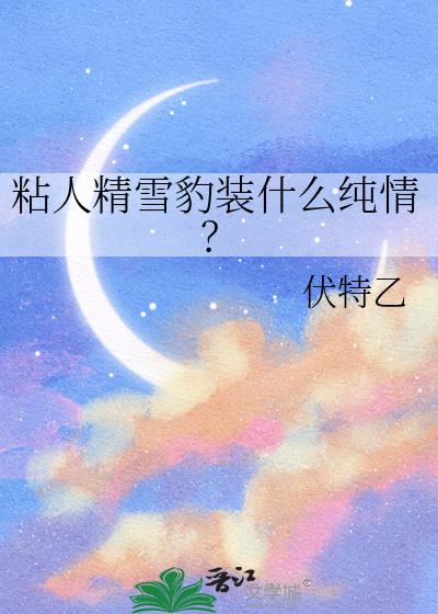 ճ�˾�ѩ��װʲô���飿