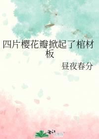 ��Ƭӣ���������˹ײİ�