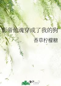 Ӱ�����괩�����ҵĹ�