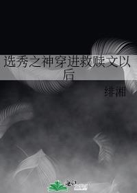 ѡ��֮�񴩽��������Ժ�