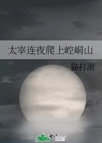 ̫����ҹ�������ɽ