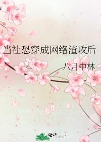 ����ִ�������������